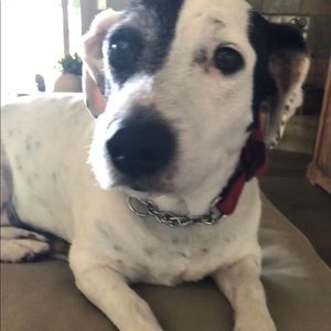 Meet your Posher, Mary